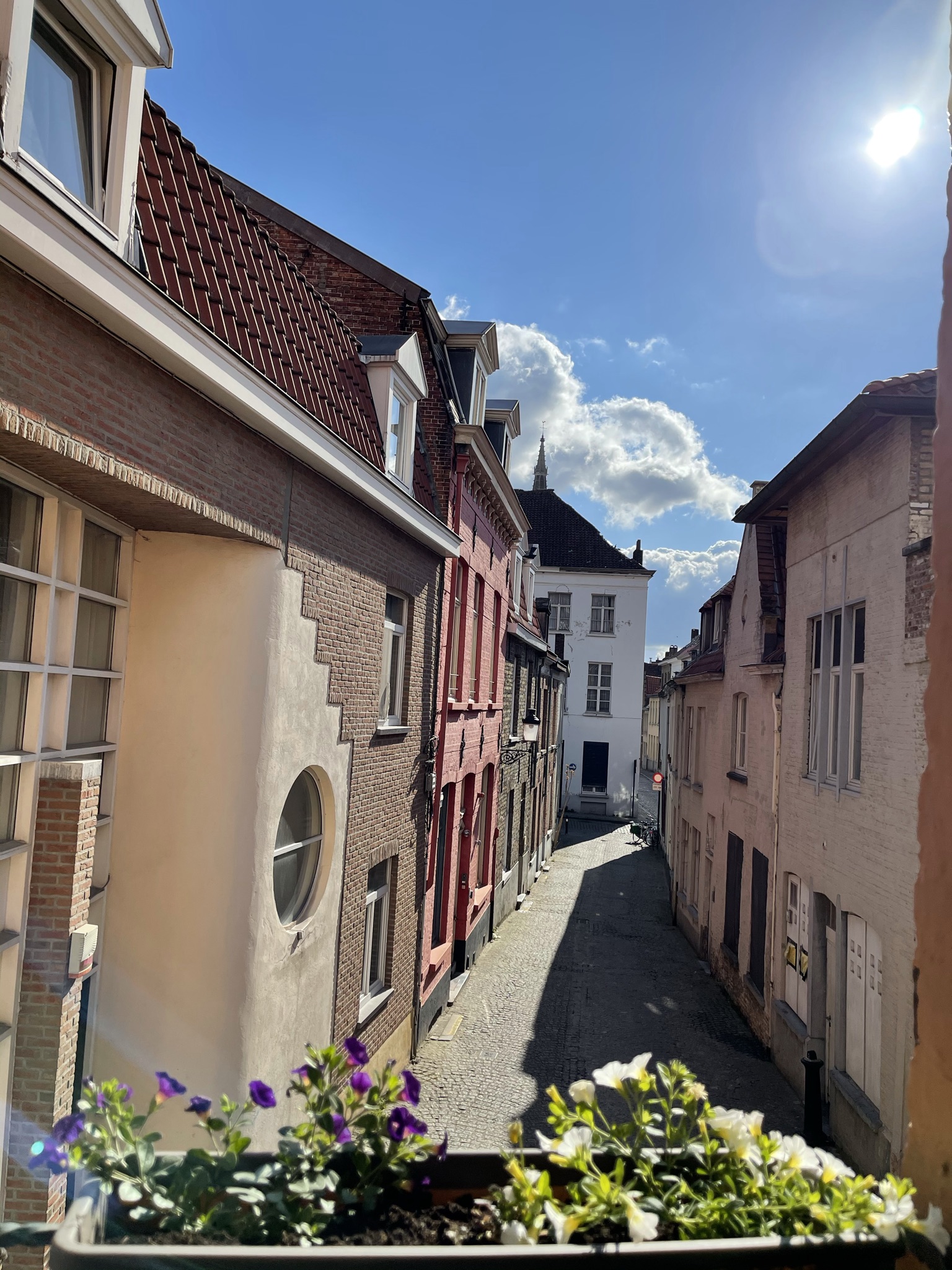 View from first floor apartment